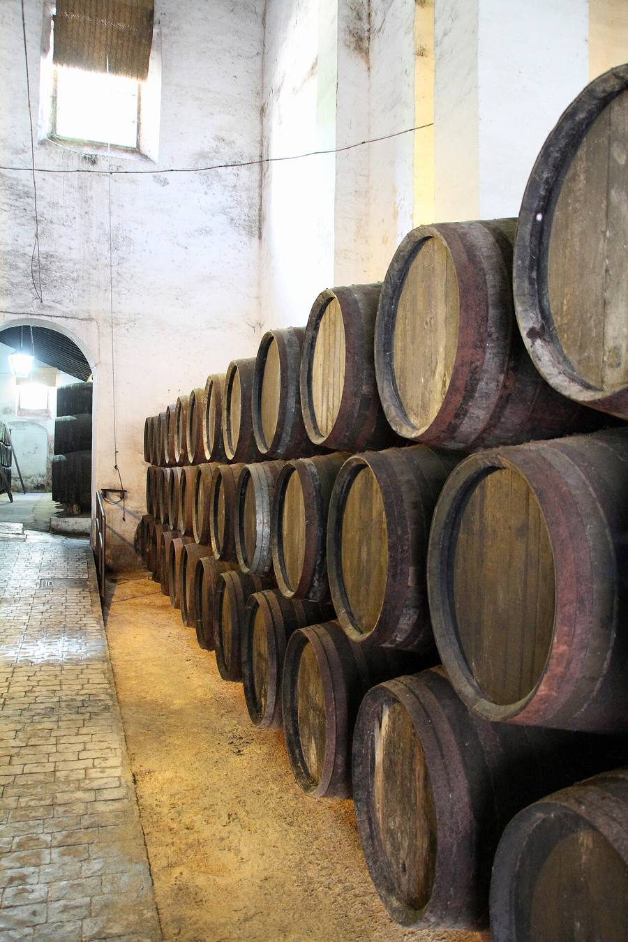 Botas de crianza en una bodega del marco de Jerez